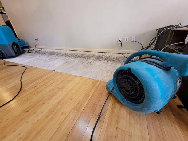 Professional Water Damage Repair technician working in Gainesville, GA